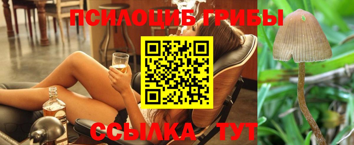 Галлюциногенные грибы MAGIC MUSHROOMS  Галлюциногенные грибы прущие грибы  Лениногорск  магазин продажи   Вход с VPN 